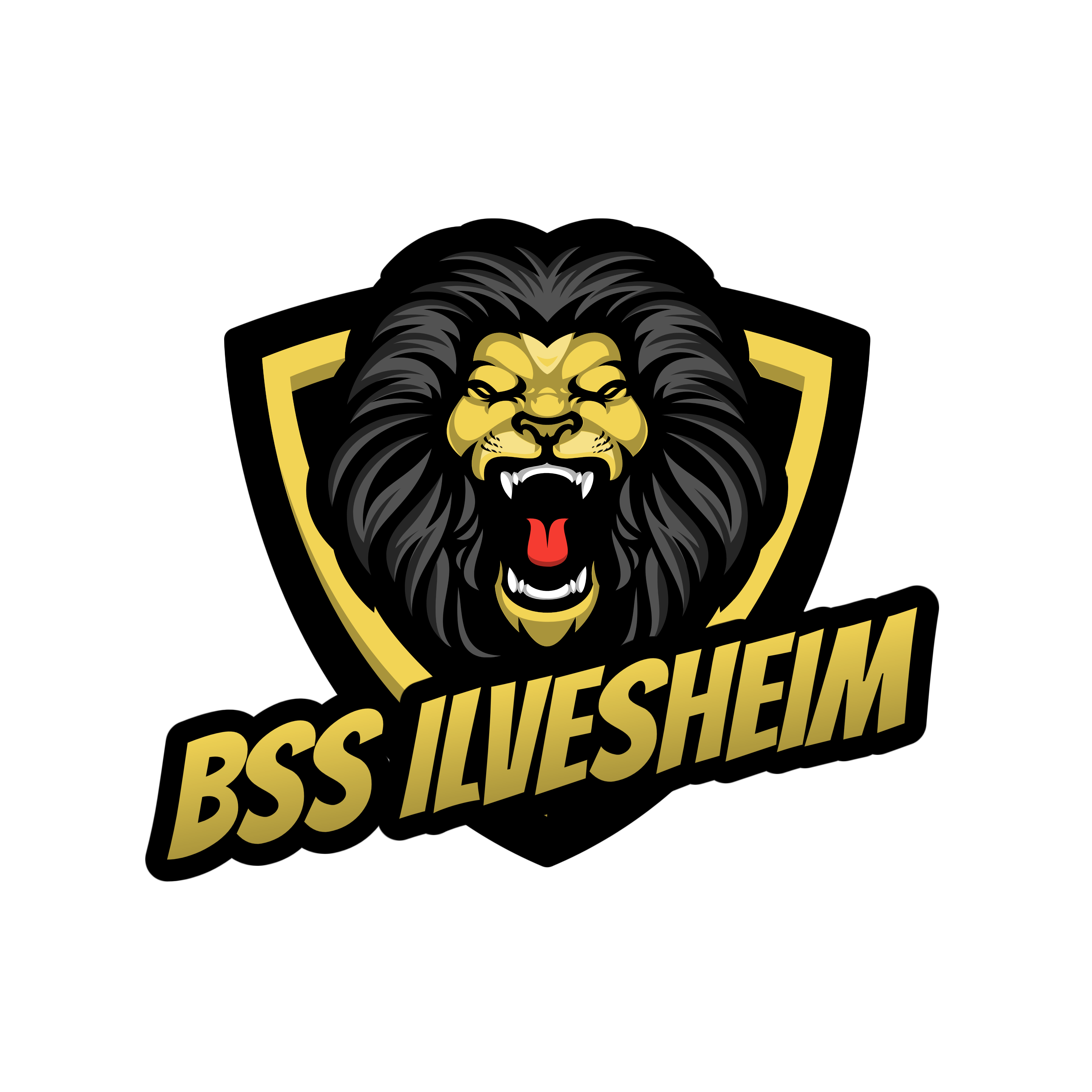 Logo des BSS Ilvesheim